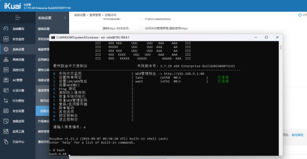 爱快iKuai企业版3.7.19固件X86插件版