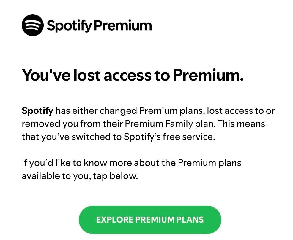 photo_2025-04-01_08-27-36 (2).jpg